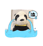 かわいいパンタンちゃん（個別スタンプ：5）
