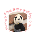 かわいいパンタンちゃん（個別スタンプ：16）