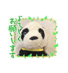 かわいいパンタンちゃん（個別スタンプ：22）