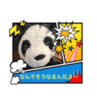 かわいいパンタンちゃん（個別スタンプ：23）