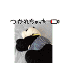 かわいいパンタンちゃん（個別スタンプ：24）