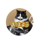 風巻すたんぷ④（個別スタンプ：2）