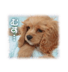 可愛いお返事  癒し仔犬♪仔猫♪（個別スタンプ：14）