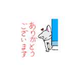 動く日常的に使えるねこのスタンプ（個別スタンプ：9）