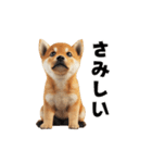 子柴犬の日常使いしやすいスタンプ（個別スタンプ：15）