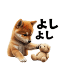 子柴犬の日常使いしやすいスタンプ（個別スタンプ：16）
