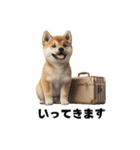 子柴犬の日常使いしやすいスタンプ（個別スタンプ：21）