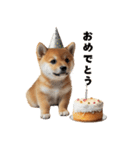 子柴犬の日常使いしやすいスタンプ（個別スタンプ：22）