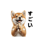 子柴犬の日常使いしやすいスタンプ（個別スタンプ：26）