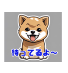 日常で使える赤ちゃん柴犬（個別スタンプ：6）