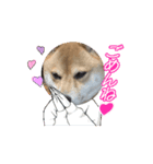 福ちゃんだね♡動くスタンプ編（個別スタンプ：4）