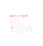 ふたごうさぎのポァとポョ【推し活用】（個別スタンプ：19）