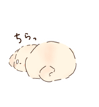 だぬ2（個別スタンプ：20）