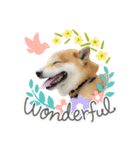 柴犬ふくvol.④（個別スタンプ：3）