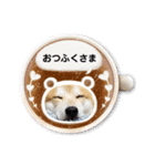 柴犬ふくvol.④（個別スタンプ：5）