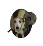 whippet 大也（個別スタンプ：3）