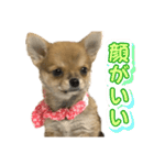 なつみそ2025（個別スタンプ：14）