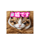 三毛猫オールスターズ（個別スタンプ：7）