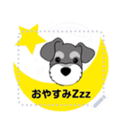 You can add words this message stickers.（個別スタンプ：9）