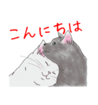 ねこってだいたいこんなかんじ。（個別スタンプ：2）