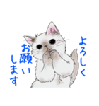 ねこってだいたいこんなかんじ。（個別スタンプ：10）