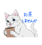 ねこってだいたいこんなかんじ。（個別スタンプ：13）