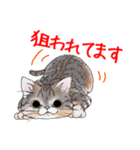 ねこってだいたいこんなかんじ。（個別スタンプ：21）