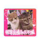 team ゆっくらぷぷみ（個別スタンプ：6）