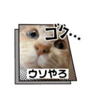 team ゆっくらぷぷみ（個別スタンプ：18）