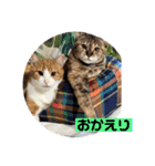 team ゆっくらぷぷみ（個別スタンプ：19）