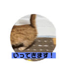 team ゆっくらぷぷみ（個別スタンプ：23）