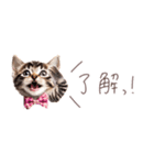 日常で使える♡ねこの吹き出しメッセージ（個別スタンプ：1）