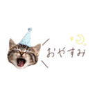 日常で使える♡ねこの吹き出しメッセージ（個別スタンプ：6）