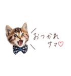 日常で使える♡ねこの吹き出しメッセージ（個別スタンプ：7）
