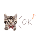 日常で使える♡ねこの吹き出しメッセージ（個別スタンプ：9）