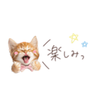 日常で使える♡ねこの吹き出しメッセージ（個別スタンプ：10）
