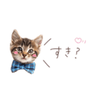 日常で使える♡ねこの吹き出しメッセージ（個別スタンプ：14）