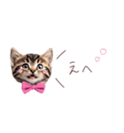 日常で使える♡ねこの吹き出しメッセージ（個別スタンプ：20）