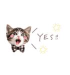 日常で使える♡ねこの吹き出しメッセージ（個別スタンプ：21）