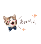 日常で使える♡ねこの吹き出しメッセージ（個別スタンプ：24）
