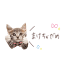 日常で使える♡ねこの吹き出しメッセージ（個別スタンプ：27）