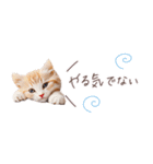 日常で使える♡ねこの吹き出しメッセージ（個別スタンプ：29）