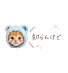 日常で使える♡ねこの吹き出しメッセージ（個別スタンプ：31）