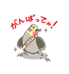 オカメの風太スタンプ2（個別スタンプ：1）