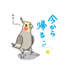 オカメの風太スタンプ2（個別スタンプ：3）