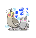 オカメの風太スタンプ2（個別スタンプ：5）