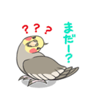 オカメの風太スタンプ2（個別スタンプ：6）