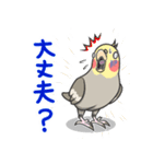 オカメの風太スタンプ2（個別スタンプ：7）