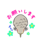 オカメの風太スタンプ2（個別スタンプ：8）