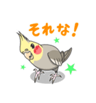 オカメの風太スタンプ2（個別スタンプ：9）